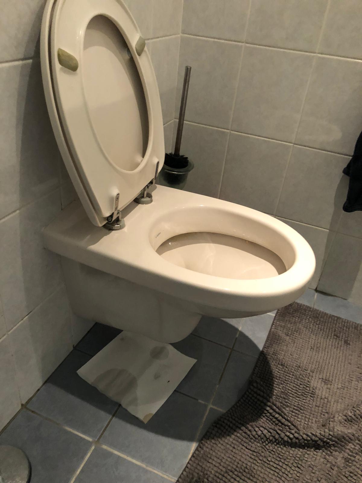 hangtoilet Wateringen